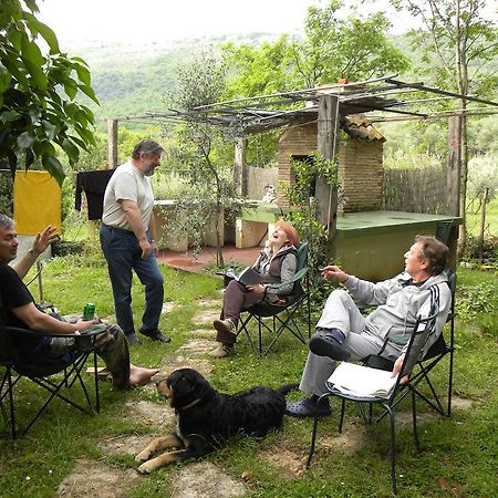 Holiday Home Botanica Дрене Номер фото